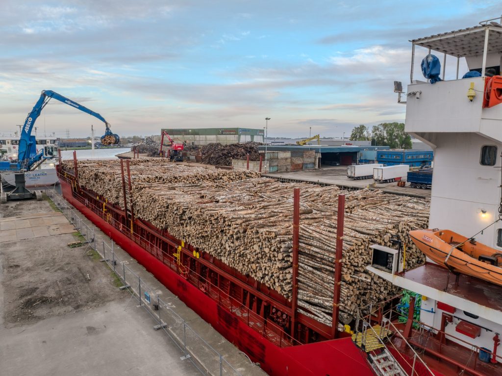 Zeeschip vol boomstammen aan de kade bij Dorrestijn